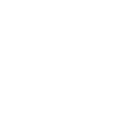 Icon Domain Globus